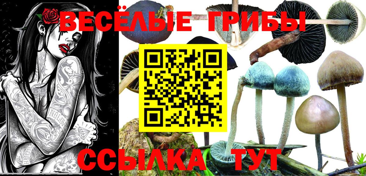 Галлюциногенные грибы прущие грибы Ессентуки